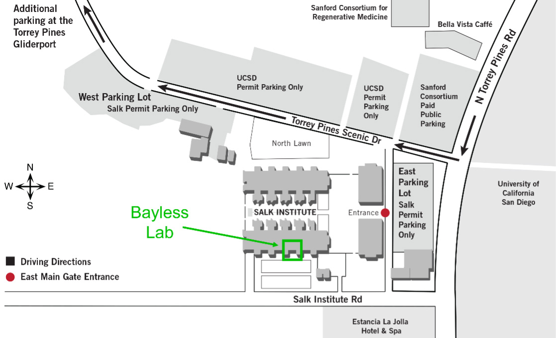 bayless lab location map